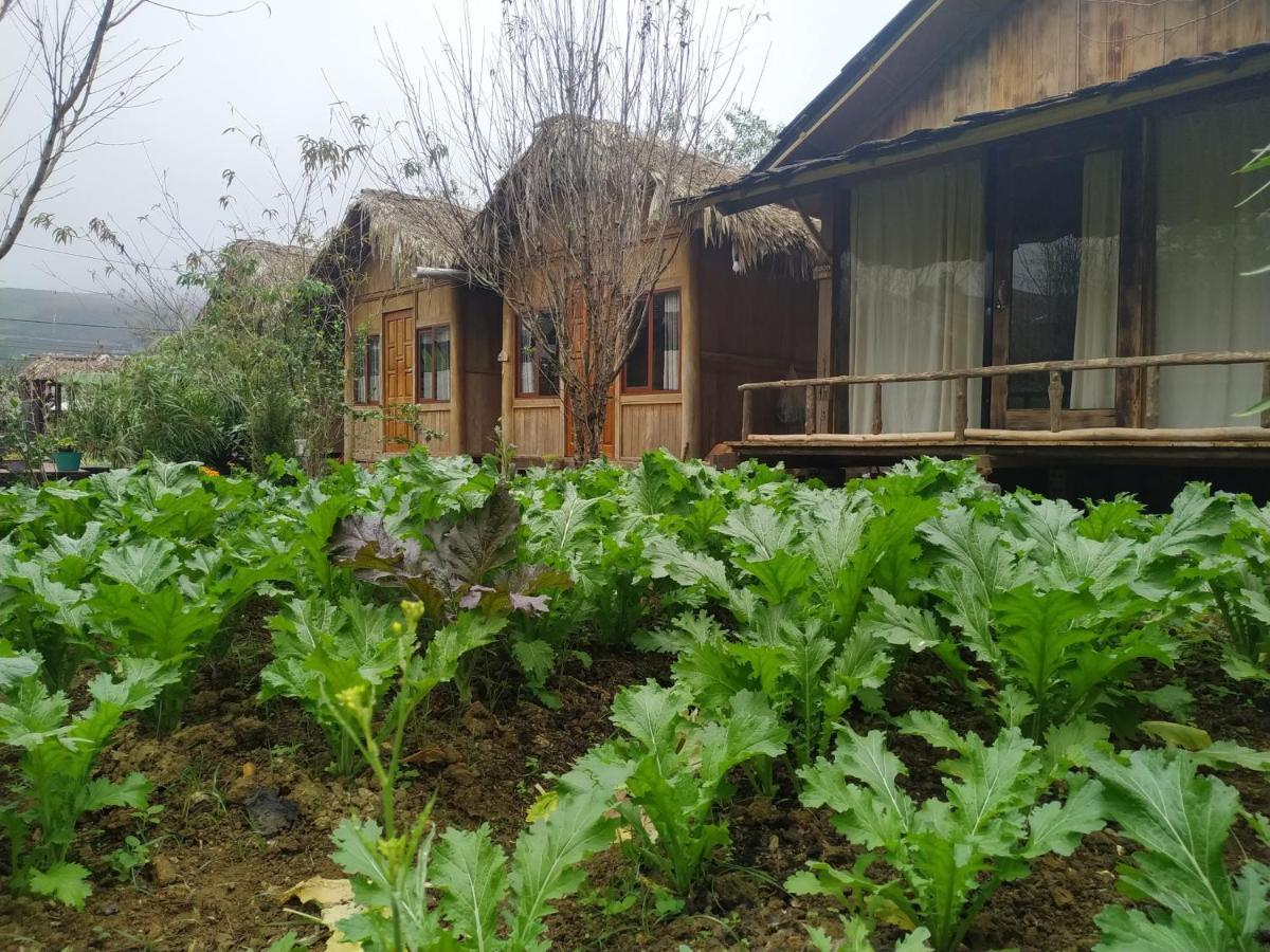 Anh Duc Homestay Sa Pa Eksteriør bilde