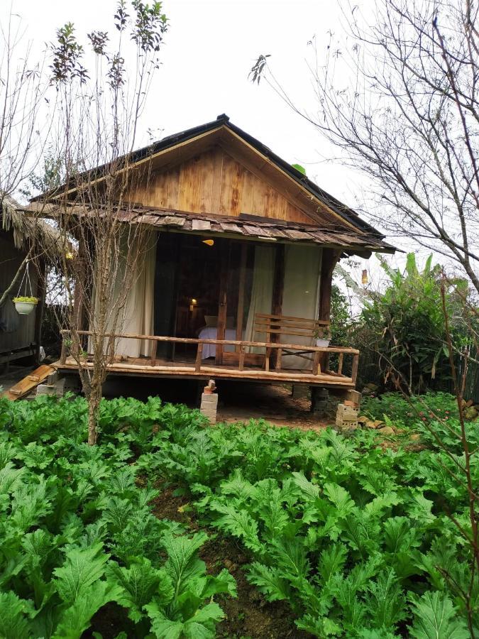 Anh Duc Homestay Sa Pa Eksteriør bilde